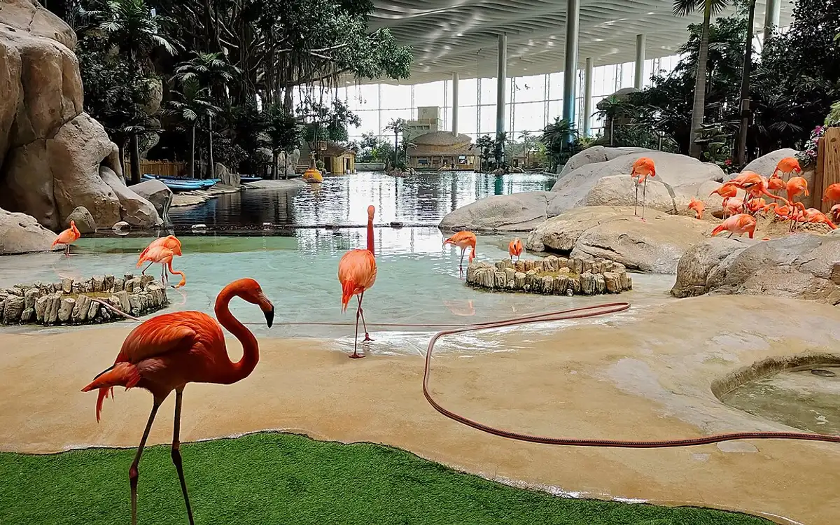 SeaWorld Abu Dhabi